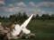 Эстония впервые провела боевые стрельбы из HIMARS
